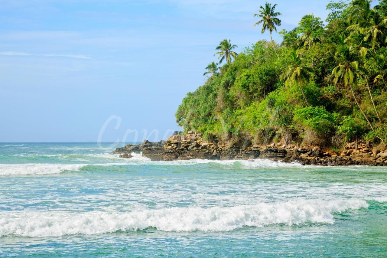 Grand Conch Villa Tangalle Exterior photo